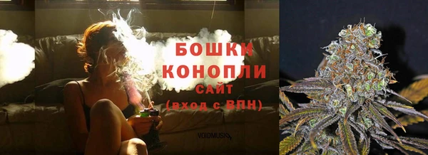 крисы Армянск