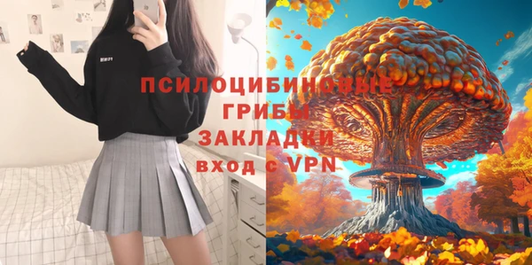 крисы Армянск