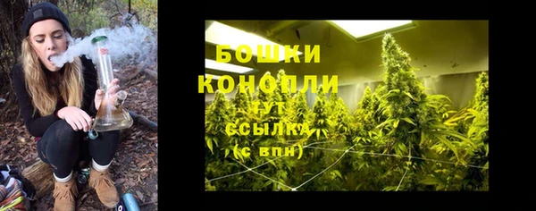 крисы Армянск