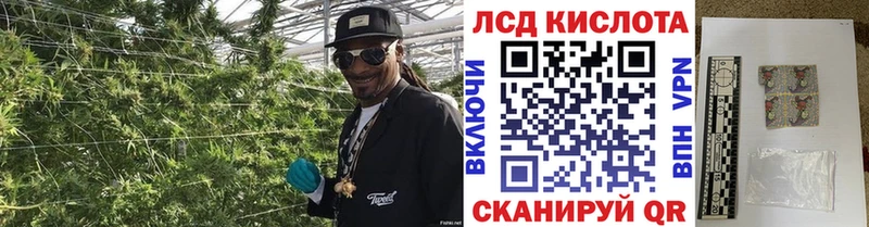 Наркотические марки 1,5мг  Купить закладки  Николаевск-на-Амуре 