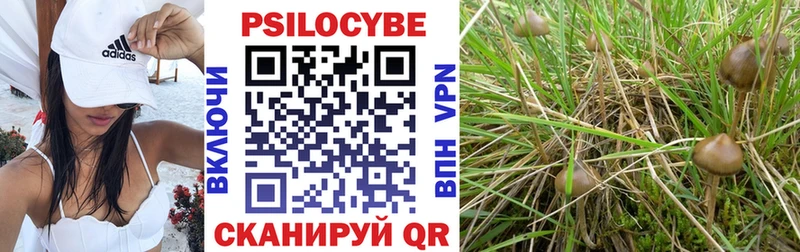 Купить  Николаевск-на-Амуре  Галлюциногенные грибы прущие грибы 