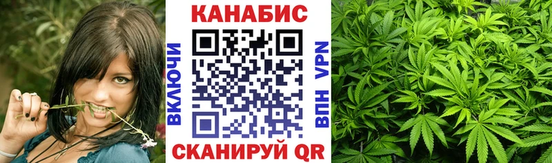 Купить закладки  Николаевск-на-Амуре  Каннабис план 